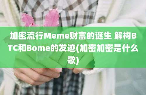 加密流行Meme财富的诞生 解构BTC和Bome的发迹(加密加密是什么歌)