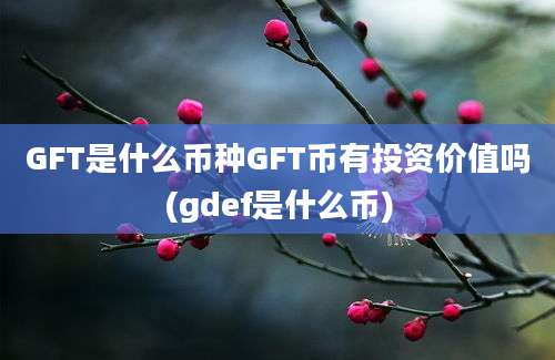 GFT是什么币种GFT币有投资价值吗(gdef是什么币)