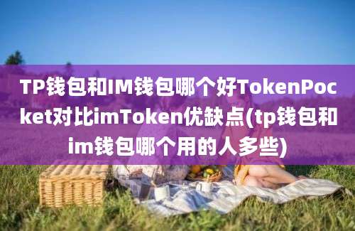 TP钱包和IM钱包哪个好TokenPocket对比imToken优缺点(tp钱包和im钱包哪个用的人多些)