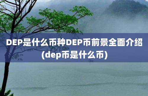 DEP是什么币种DEP币前景全面介绍(dep币是什么币)