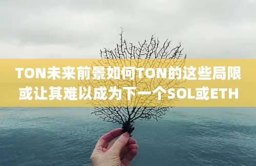 TON未来前景如何TON的这些局限或让其难以成为下一个SOL或ETH