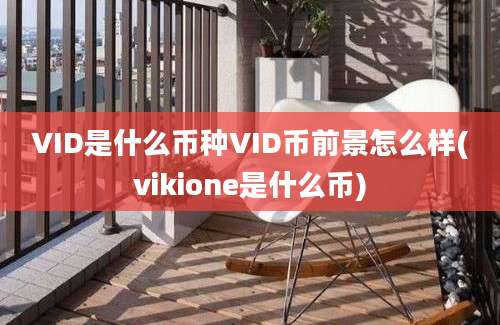 VID是什么币种VID币前景怎么样(vikione是什么币)