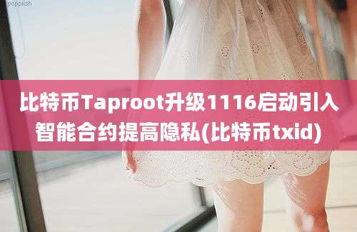 比特币Taproot升级1116启动引入智能合约提高隐私(比特币txid)