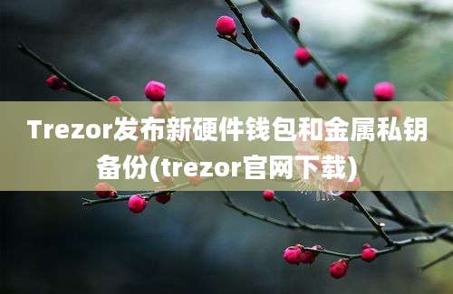 Trezor发布新硬件钱包和金属私钥备份(trezor官网下载)