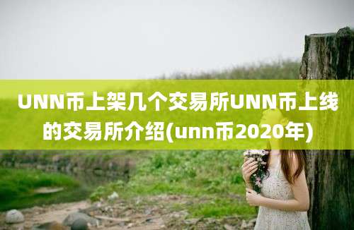 UNN币上架几个交易所UNN币上线的交易所介绍(unn币2020年)