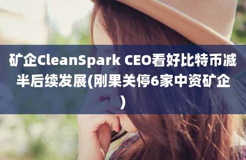 矿企CleanSpark CEO看好比特币减半后续发展(刚果关停6家中资矿企)