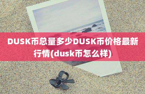 DUSK币总量多少DUSK币价格最新行情(dusk币怎么样)