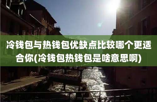 冷钱包与热钱包优缺点比较哪个更适合你(冷钱包热钱包是啥意思啊)