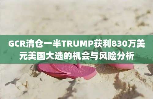 GCR清仓一半TRUMP获利830万美元美国大选的机会与风险分析