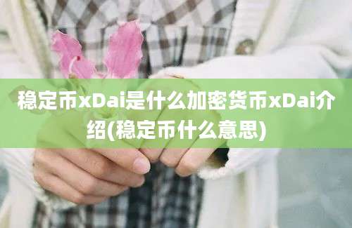 稳定币xDai是什么加密货币xDai介绍(稳定币什么意思)