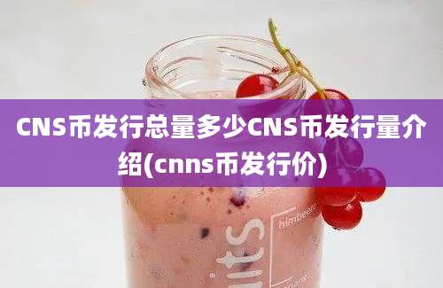 CNS币发行总量多少CNS币发行量介绍(cnns币发行价)