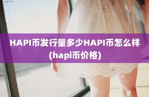 HAPI币发行量多少HAPI币怎么样(hapi币价格)