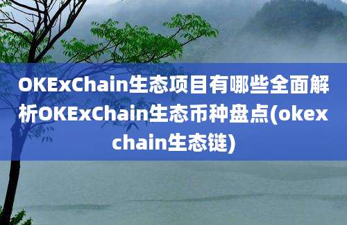 OKExChain生态项目有哪些全面解析OKExChain生态币种盘点(okexchain生态链)