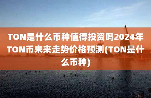 TON是什么币种值得投资吗2024年TON币未来走势价格预测(TON是什么币种)