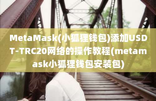 MetaMask(小狐狸钱包)添加USDT-TRC20网络的操作教程(metamask小狐狸钱包安装包)