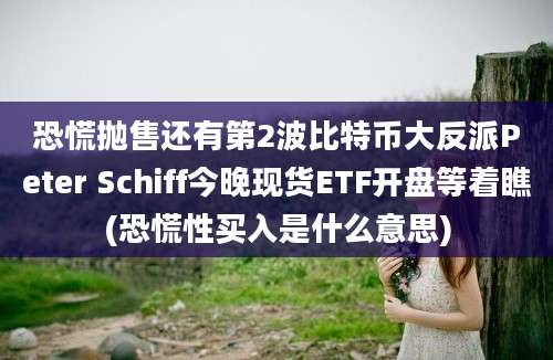 恐慌抛售还有第2波比特币大反派Peter Schiff今晚现货ETF开盘等着瞧(恐慌性买入是什么意思)