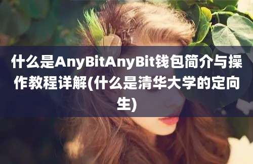 什么是AnyBitAnyBit钱包简介与操作教程详解(什么是清华大学的定向生)