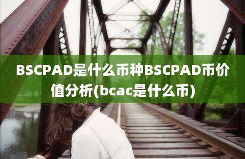 BSCPAD是什么币种BSCPAD币价值分析(bcac是什么币)