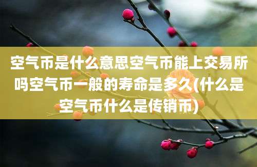 空气币是什么意思空气币能上交易所吗空气币一般的寿命是多久(什么是空气币什么是传销币)