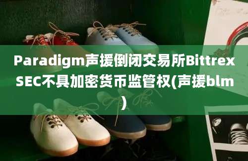 Paradigm声援倒闭交易所BittrexSEC不具加密货币监管权(声援blm)