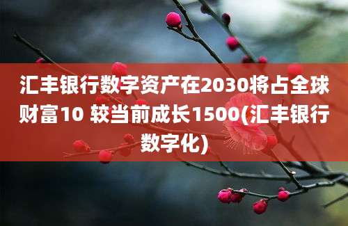 汇丰银行数字资产在2030将占全球财富10 较当前成长1500(汇丰银行数字化)