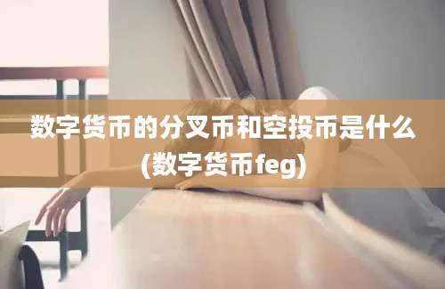 数字货币的分叉币和空投币是什么(数字货币feg)