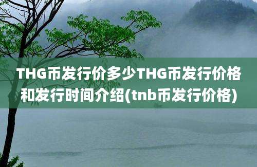 THG币发行价多少THG币发行价格和发行时间介绍(tnb币发行价格)