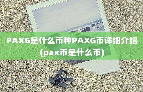 PAXG是什么币种PAXG币详细介绍(pax币是什么币)