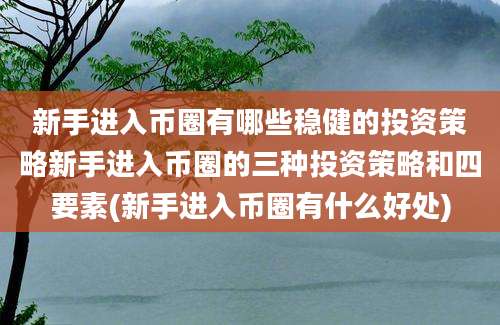 新手进入币圈有哪些稳健的投资策略新手进入币圈的三种投资策略和四要素(新手进入币圈有什么好处)