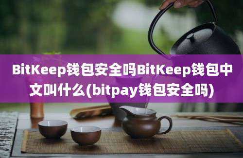 BitKeep钱包安全吗BitKeep钱包中文叫什么(bitpay钱包安全吗)