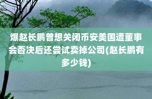 爆赵长鹏曾想关闭币安美国遭董事会否决后还尝试卖掉公司(赵长鹏有多少钱)