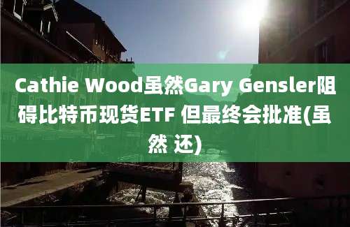 Cathie Wood虽然Gary Gensler阻碍比特币现货ETF 但最终会批准(虽然 还)