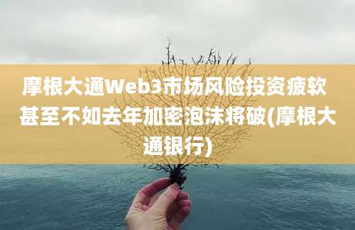 摩根大通Web3市场风险投资疲软 甚至不如去年加密泡沫将破(摩根大通银行)