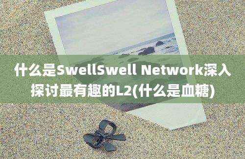 什么是SwellSwell Network深入探讨最有趣的L2(什么是血糖)