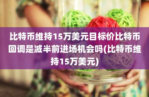 比特币维持15万美元目标价比特币回调是减半前进场机会吗(比特币维持15万美元)