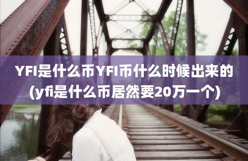 YFI是什么币YFI币什么时候出来的(yfi是什么币居然要20万一个)