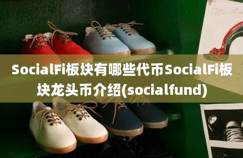 SocialFi板块有哪些代币SocialFi板块龙头币介绍(socialfund)