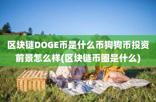 区块链DOGE币是什么币狗狗币投资前景怎么样(区块链币圈是什么)