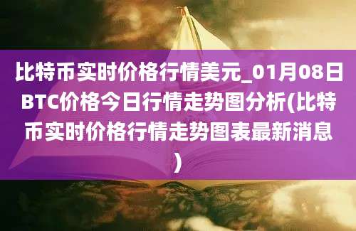 比特币实时价格行情美元_01月08日BTC价格今日行情走势图分析(比特币实时价格行情走势图表最新消息)