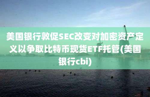 美国银行敦促SEC改变对加密资产定义以争取比特币现货ETF托管(美国银行cbi)