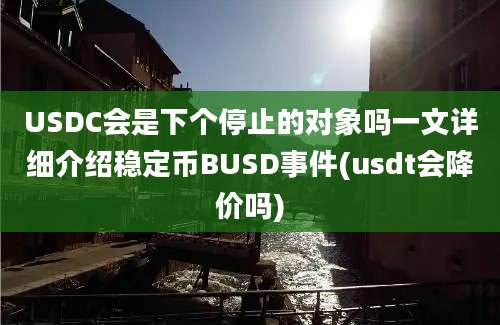 USDC会是下个停止的对象吗一文详细介绍稳定币BUSD事件(usdt会降价吗)