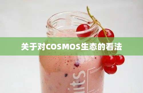 关于对COSMOS生态的看法