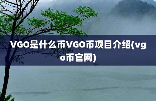 VGO是什么币VGO币项目介绍(vgo币官网)