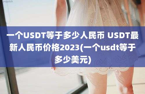 一个USDT等于多少人民币 USDT最新人民币价格2023(一个usdt等于多少美元)