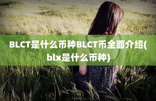 BLCT是什么币种BLCT币全面介绍(blx是什么币种)