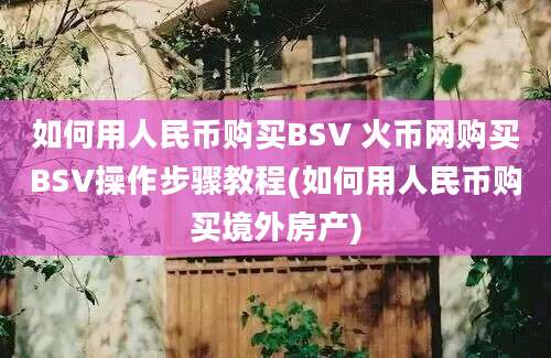 如何用人民币购买BSV 火币网购买BSV操作步骤教程(如何用人民币购买境外房产)