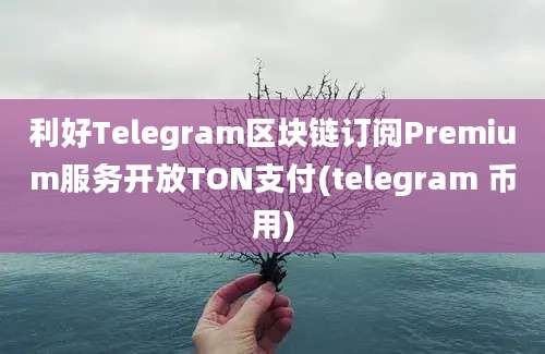 利好Telegram区块链订阅Premium服务开放TON支付(telegram 币用)