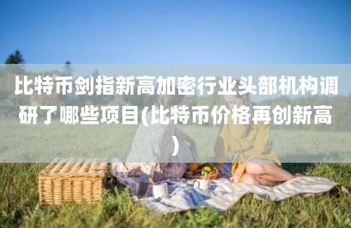 比特币剑指新高加密行业头部机构调研了哪些项目(比特币价格再创新高)