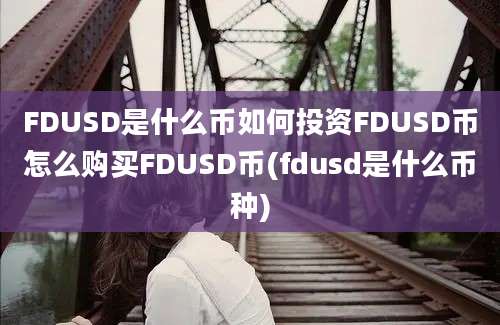 FDUSD是什么币如何投资FDUSD币怎么购买FDUSD币(fdusd是什么币种)