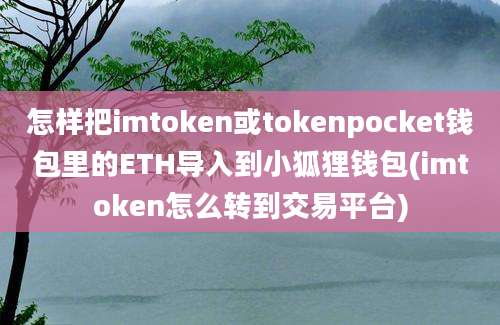 怎样把imtoken或tokenpocket钱包里的ETH导入到小狐狸钱包(imtoken怎么转到交易平台)